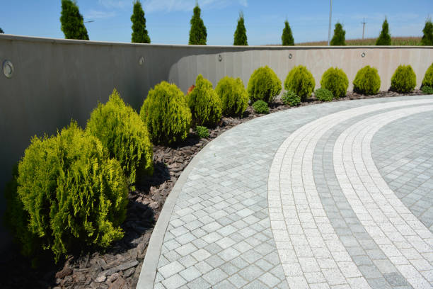 Best Driveway Pavers Near Me  in Donalsonville, GA